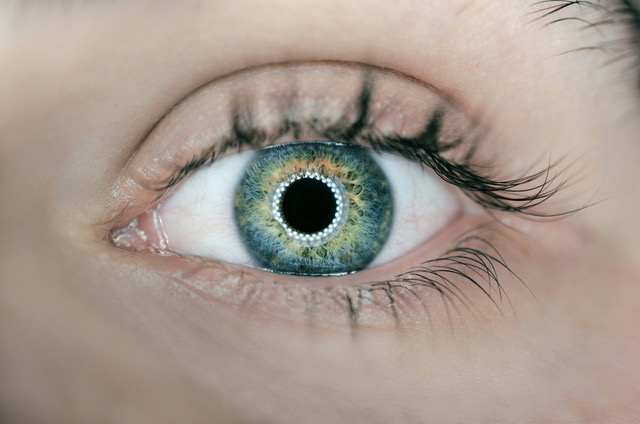 Interesting Eye Facts