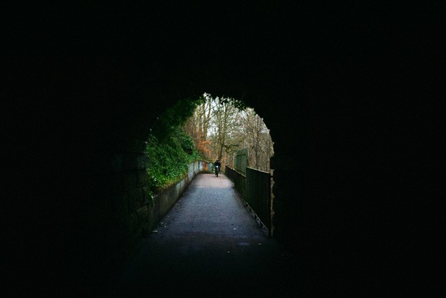 anguel-hristozov-JIuAcVN8UbA-unsplash (002)