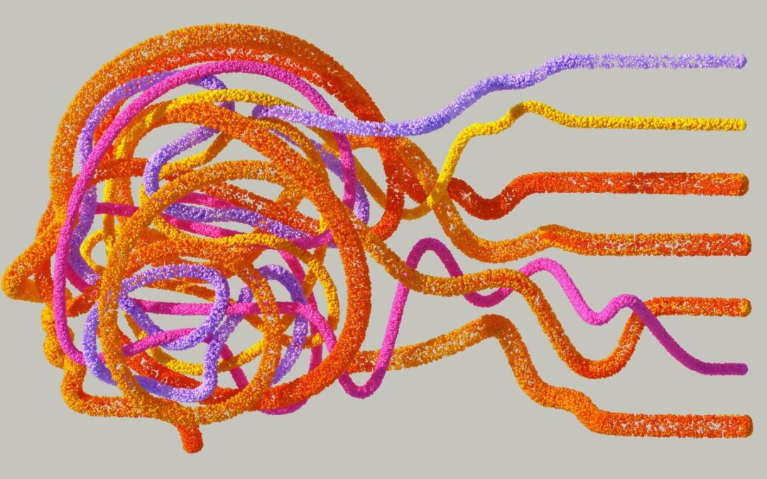 Visual Processing